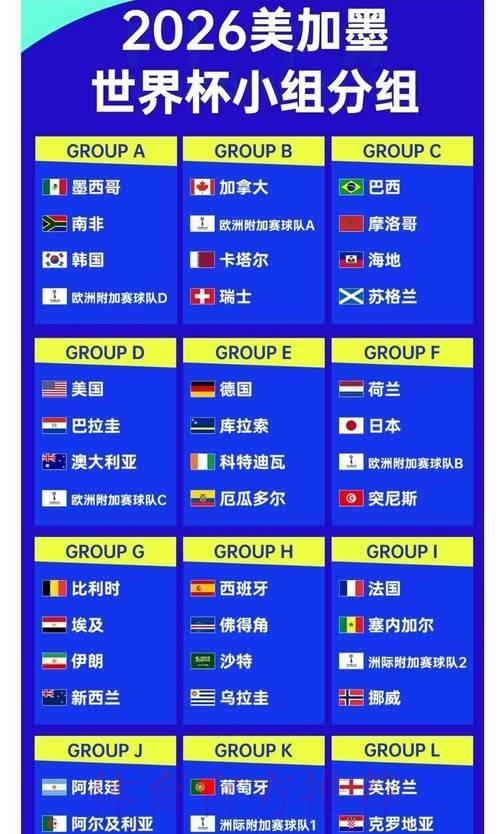 2026年世界杯夺冠热门球队赔率深度解析与前景预测